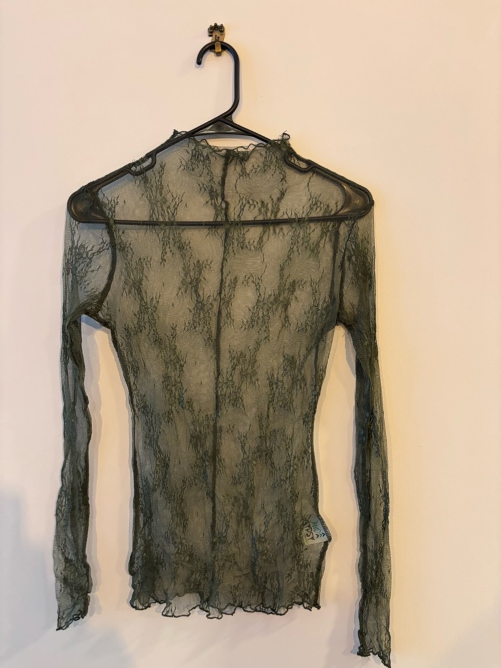 Sheer Lace Long-Sleeve Top - Olive